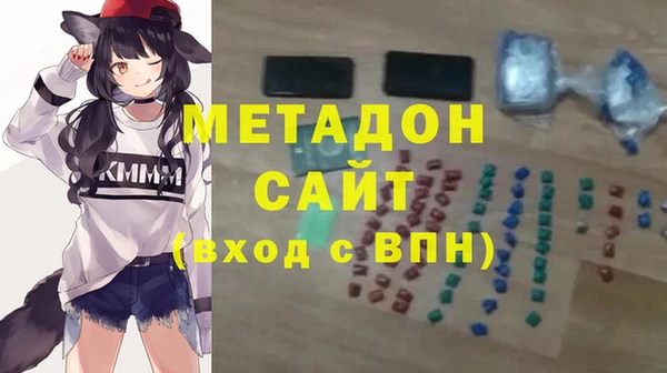 ГАЛЛЮЦИНОГЕННЫЕ ГРИБЫ Богданович