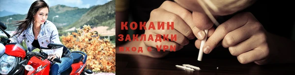ГАЛЛЮЦИНОГЕННЫЕ ГРИБЫ Богданович