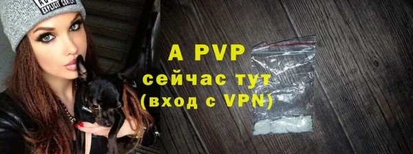 прущие грибы Дмитров