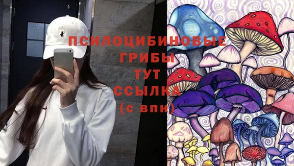 Альфа ПВП Беломорск