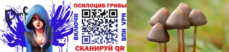 блэк спрут вход Ленинск Псилоцибиновые грибы прущие грибы наркошоп