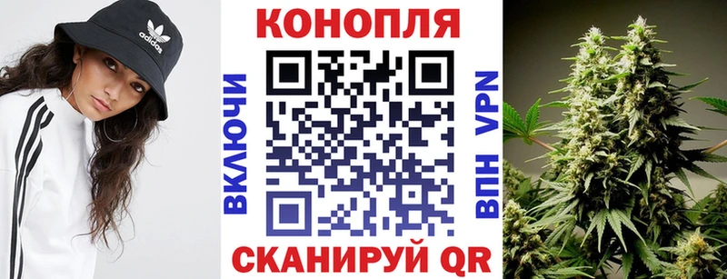 закладки mega МАРИХУАНА семена Ленинск